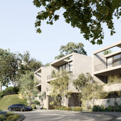 Alexandra-Collection-8-800x600