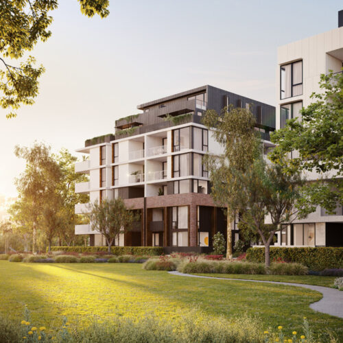 Highett-Common_ClarkeHopkinsClarke_19